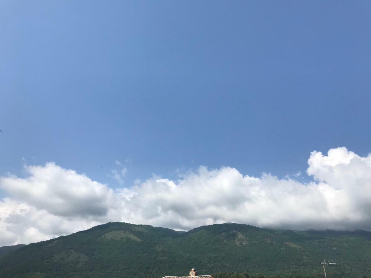 Гостевой Дом С Садом Hotel Gagra Exterior photo